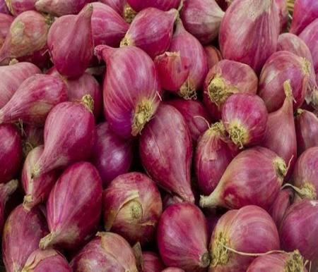 Harga bawang merah 1 Kg di Pekanbaru tembus Rp50 ribu (foto/int)
